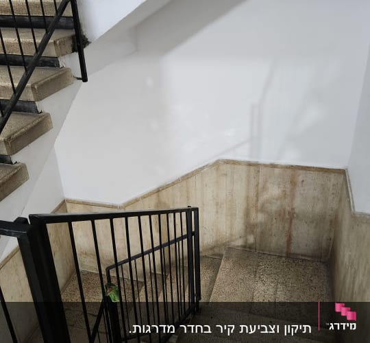 מדרגות עם מעקה מתכת, כלי עבודה ירוק